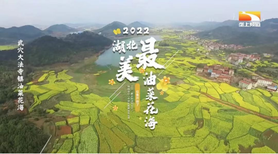 3c3d95eec384e8a64889e6185d1cb56.png