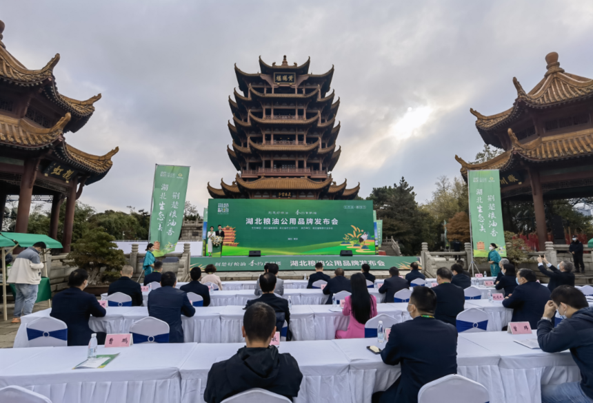 1669116066288559.png