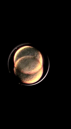 0 (4).gif