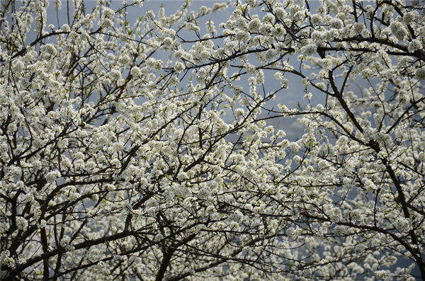 1585186482483774.png 图片155.png