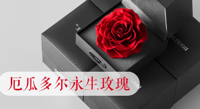 1625791122695832.png image.png