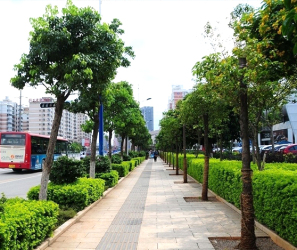 街道垃圾解決方案