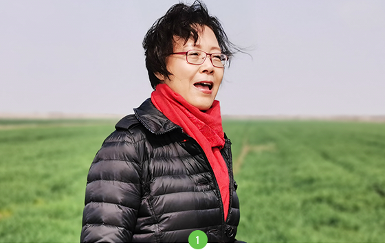 植物营养研发中心-麦记麦绿素-徐新月麦绿素之母-杭州博可生物科技