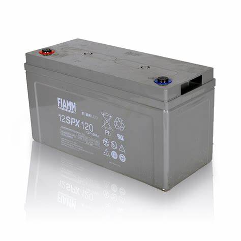 OIP-C.jpg