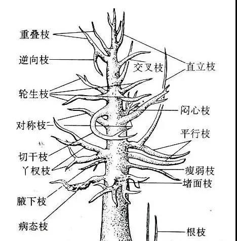 1587269369994785.jpg 微信图片_20200419120947.jpg