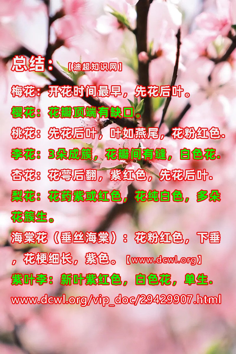 �������ӣ��÷���һ��滨��ӻ����Ļ���Ҷ��