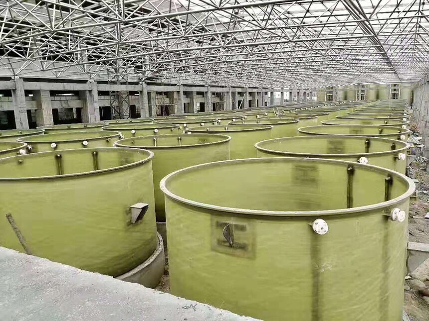 1744424239372641.jpg 1.jpg