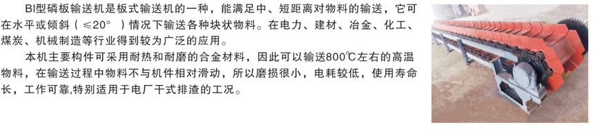 8 - ���� (3).jpg