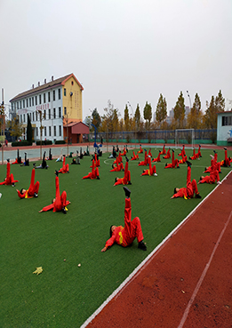 228.jpg