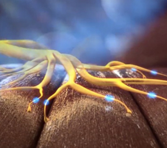 ���}���Q