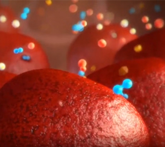 ���}���Q