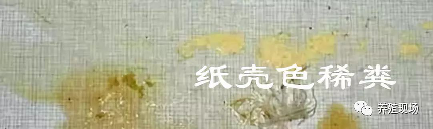 DƬ 3.png