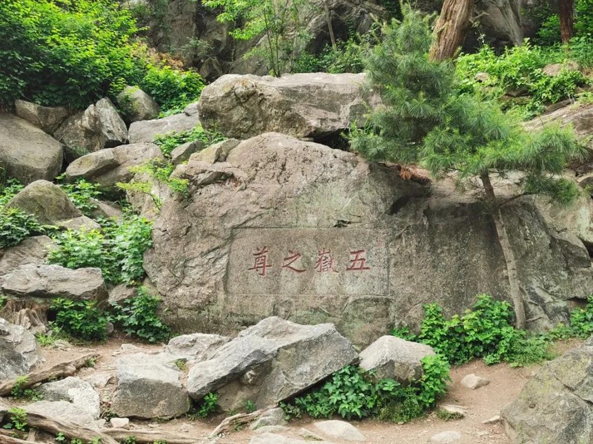 1621579660755302.jpg 12.jpg