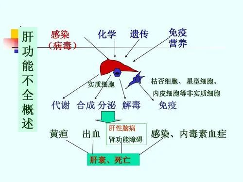 ΢ňDƬ_20220726134848.jpg