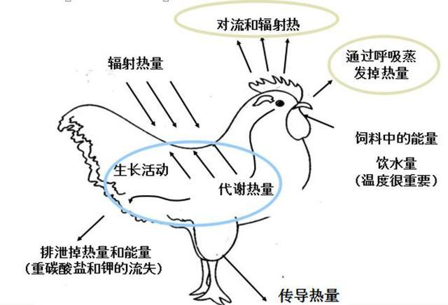 ΢ňDƬ_20220808171650.png