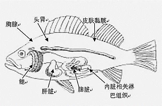 ΢ňDƬ_20230210175112.png