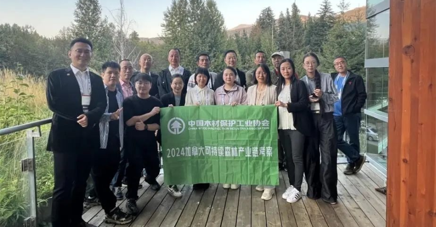 2024ôɳmɭ֮aI朿AMY