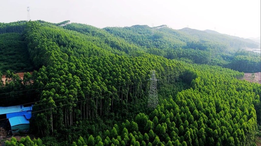 ΢��ͼƬ_20200425113955.jpg