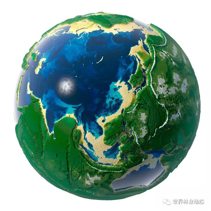1588562644340992.jpg 微信图片_20200504112330.jpg