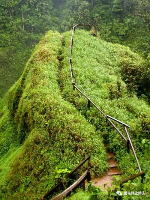 1588817983910046.jpg 微信图片_20200507101912.jpg