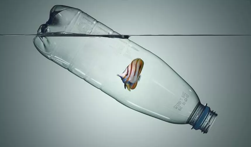 ΢ͼƬ_20210406165514.png