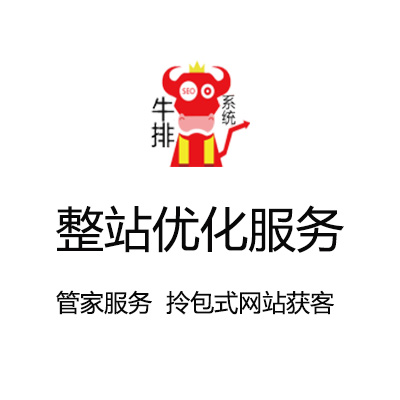 湖北专业网站优化排名