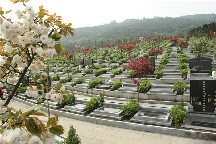湖州灵安公墓图片