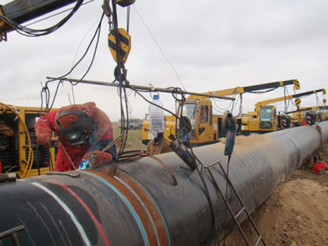 1-200420092R5511.jpg