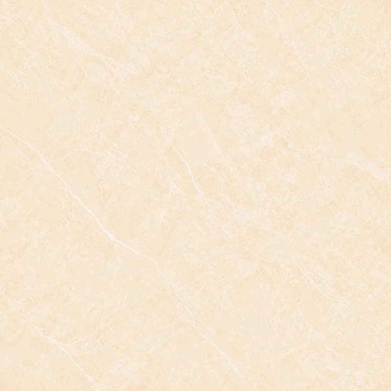 882009.jpg