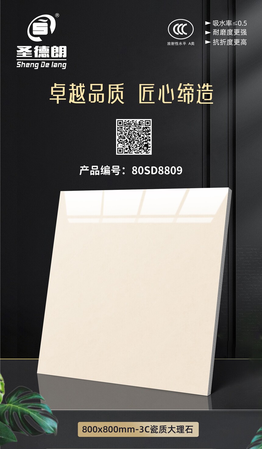 80SD8809.jpg