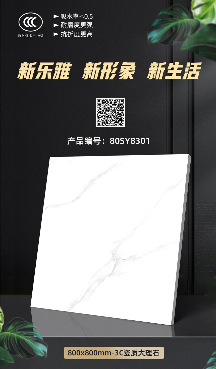 80SY8301.jpg