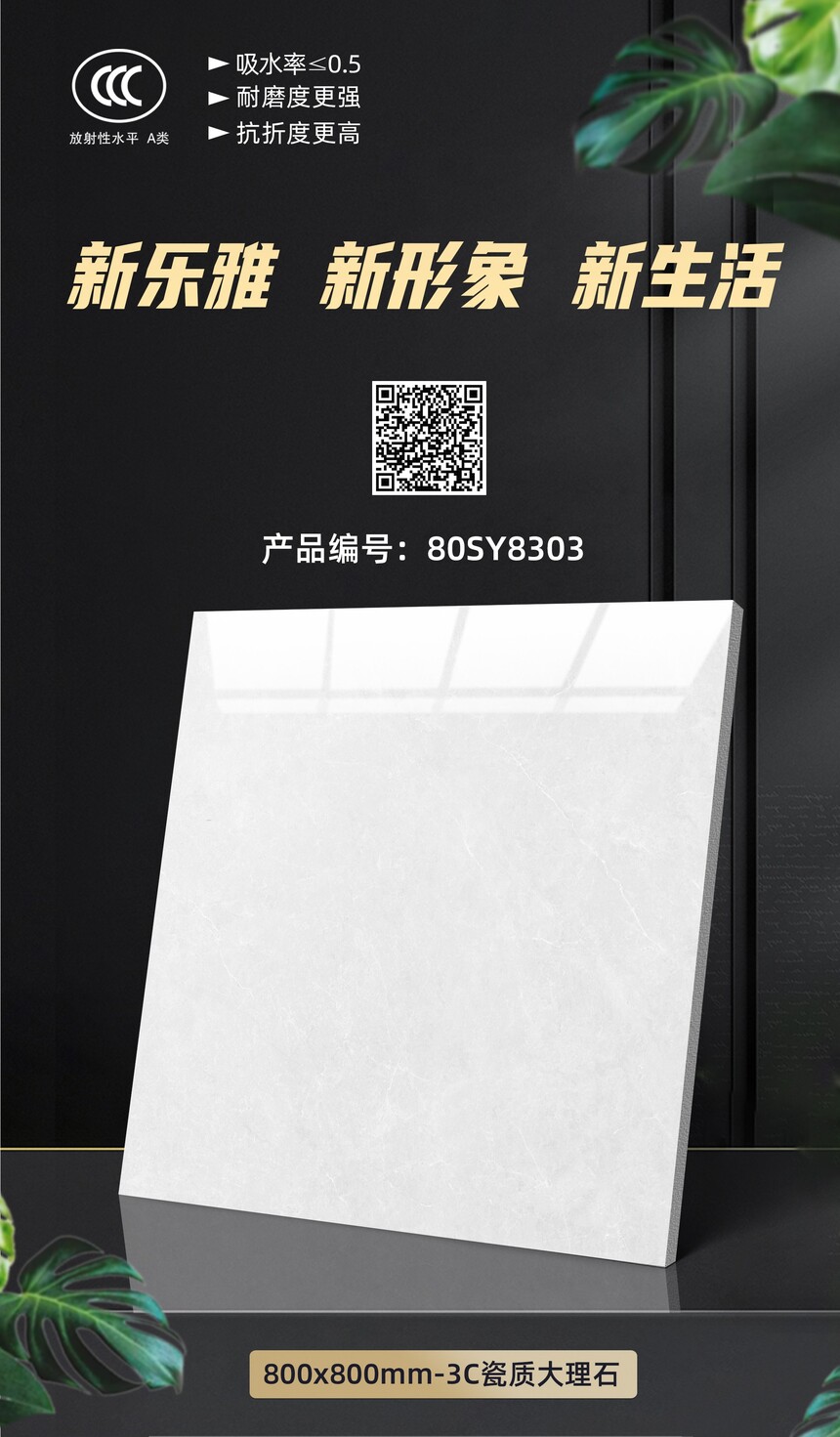 80SY8303.jpg