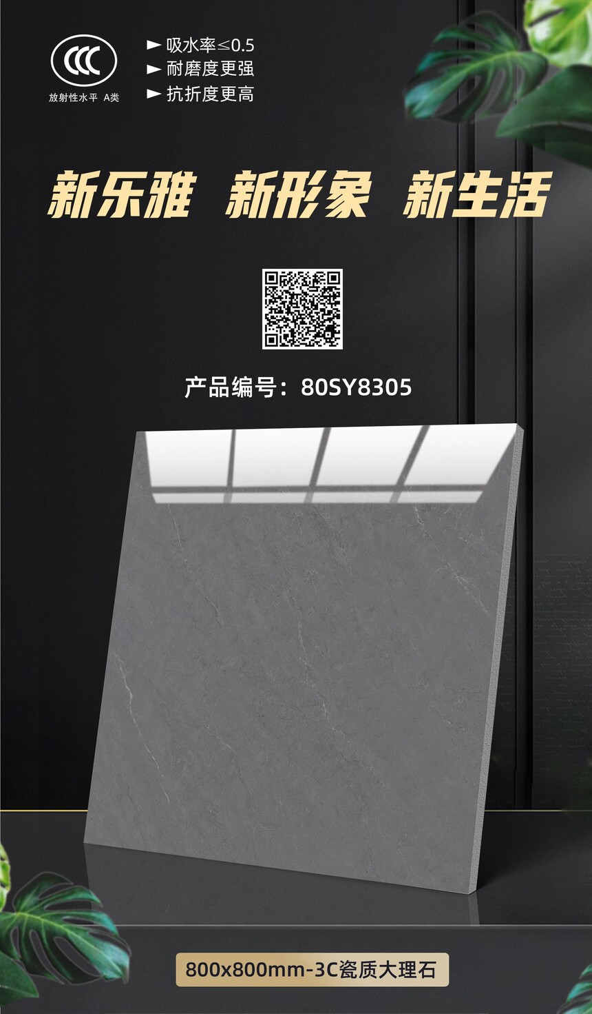 80SY8305.jpg
