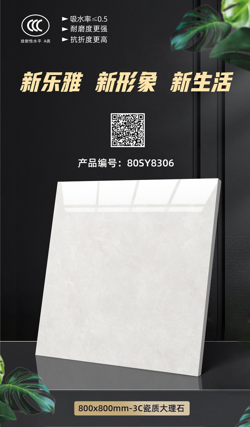 80SY8306.jpg