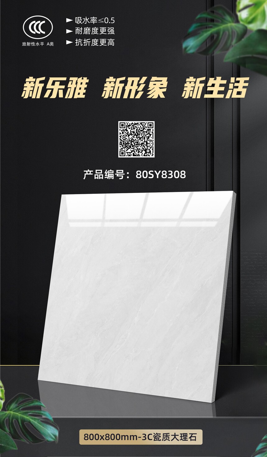 80SY8308.jpg