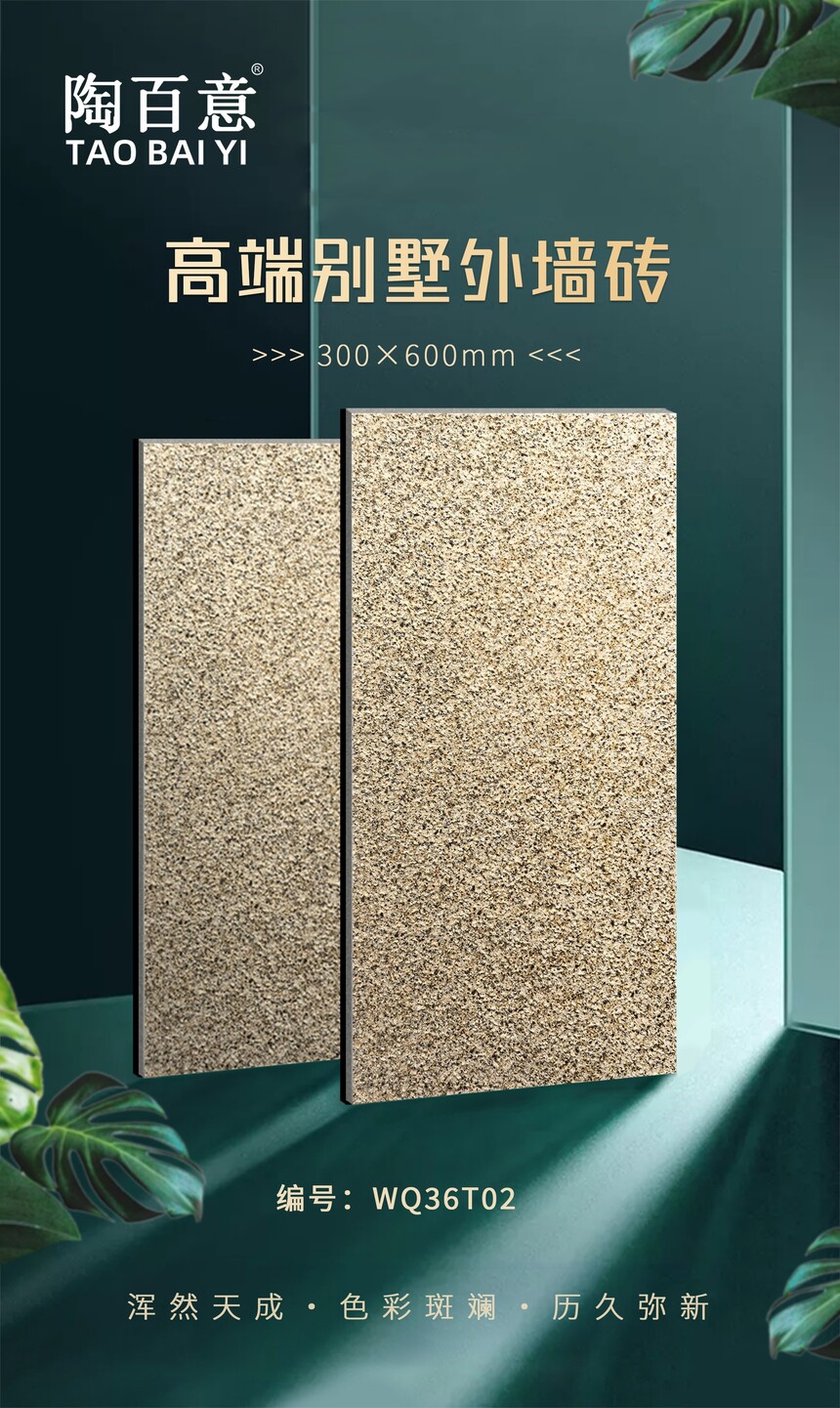 WQ36T02.jpg