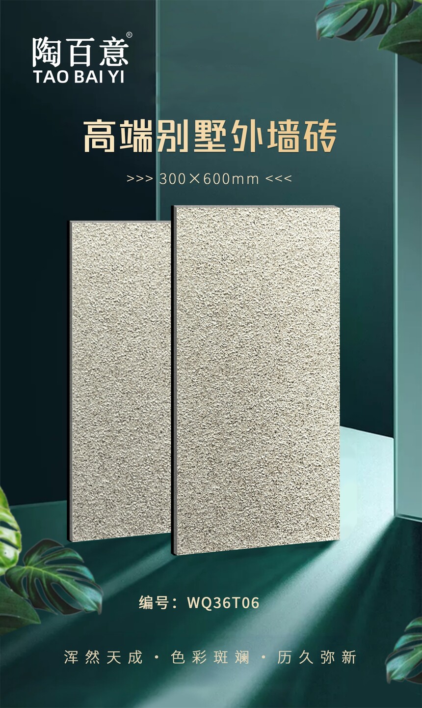 WQ36T06.jpg