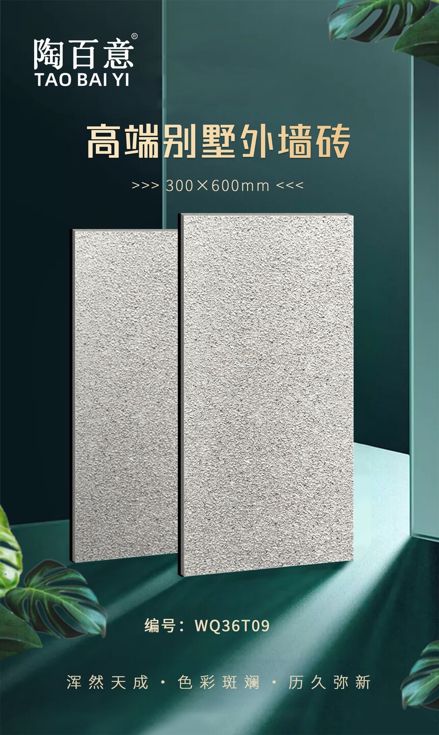 WQ36T09.jpg