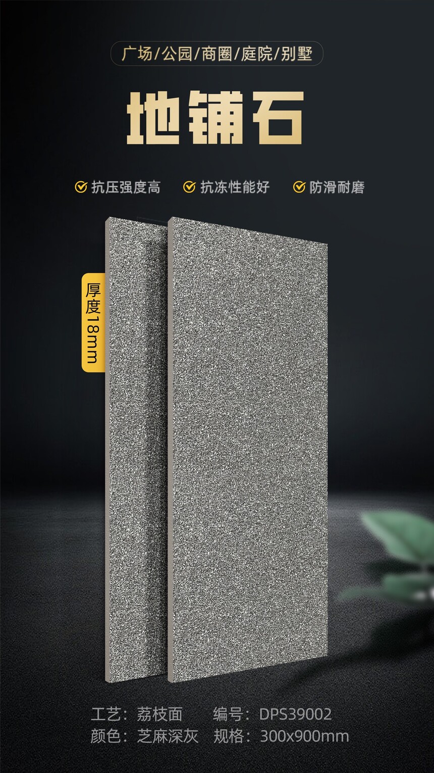 DPS39002.jpg