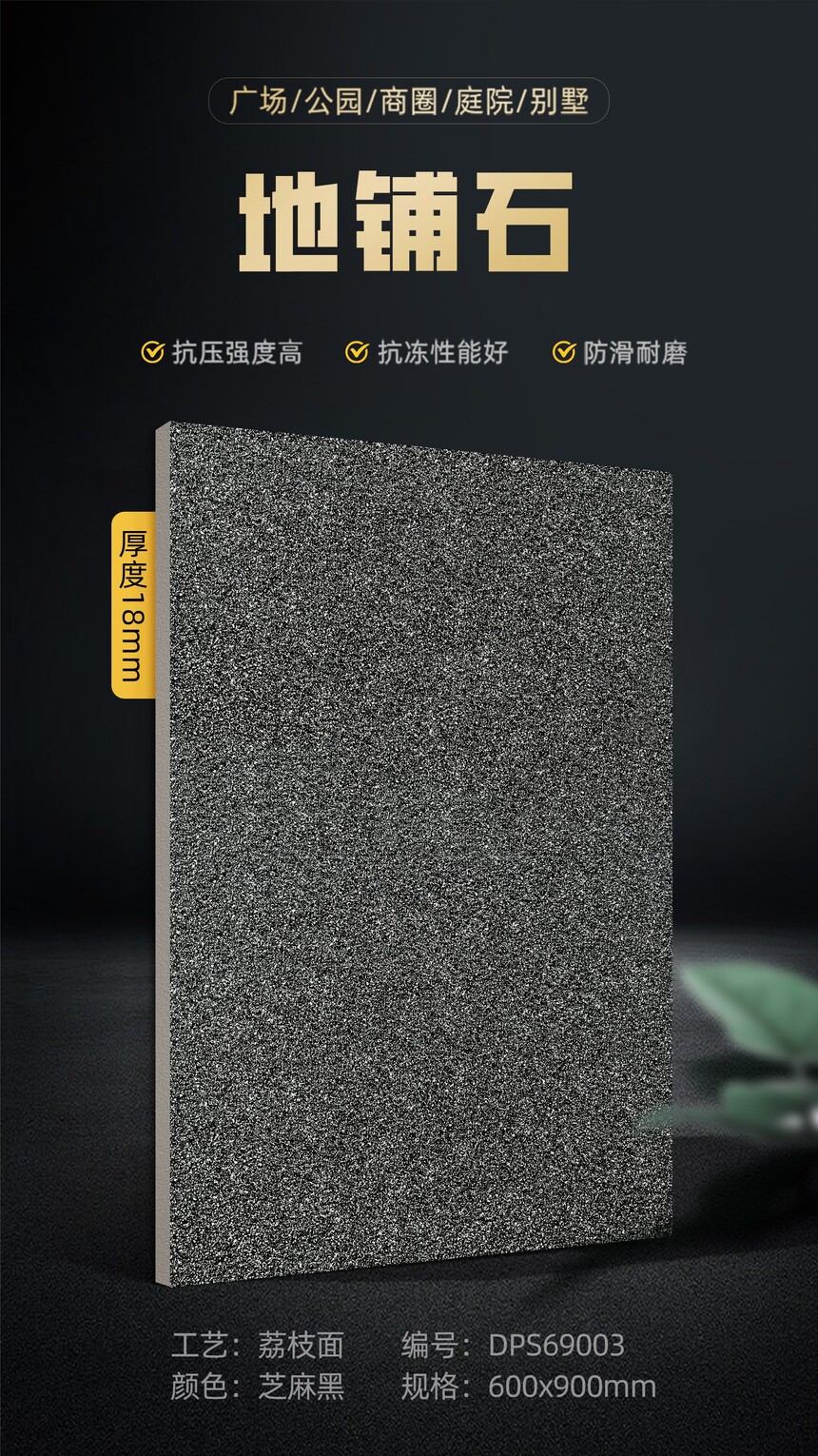 DPS69003.jpg