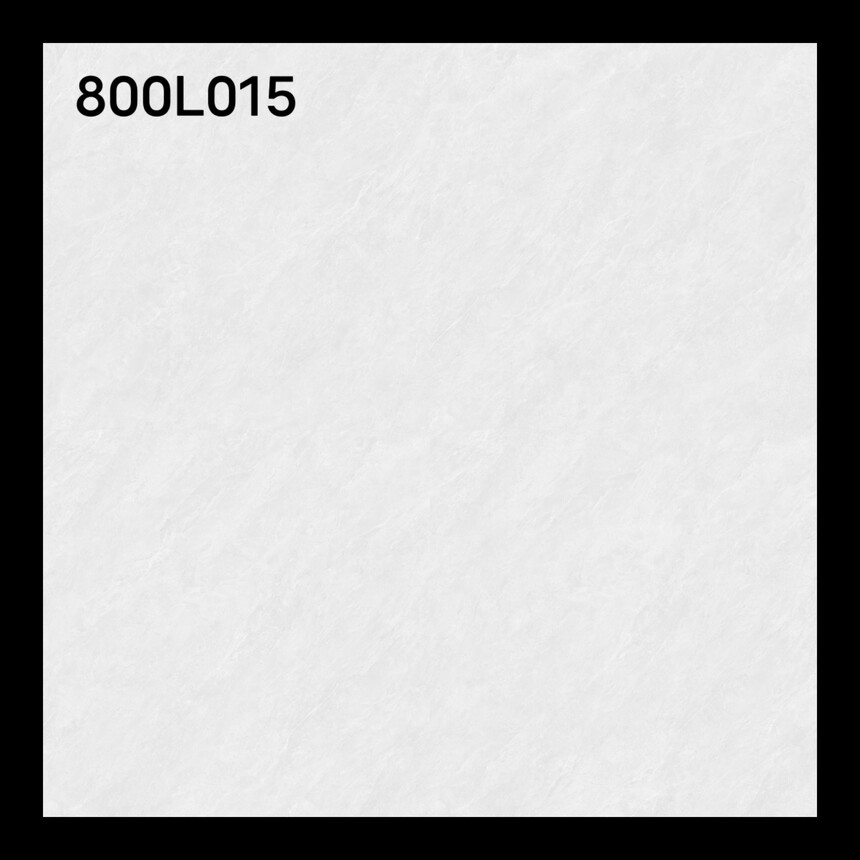 800L015.jpg