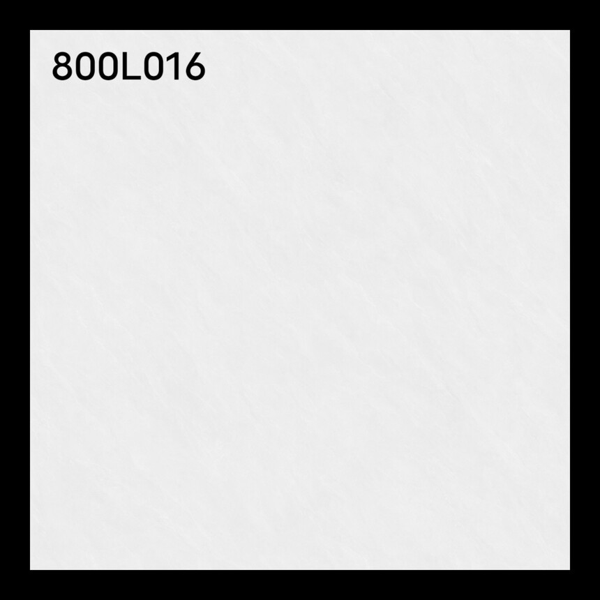 800L016.jpg