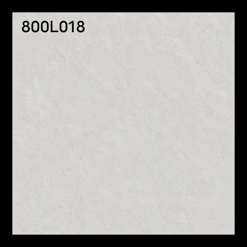 800L018.jpg