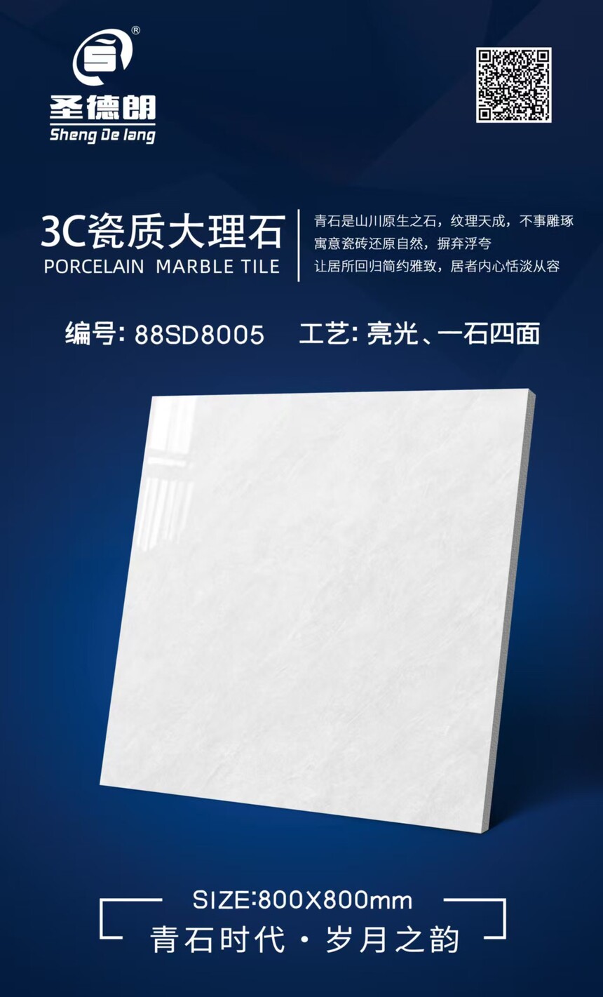 88SD8005.jpg