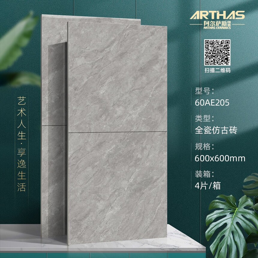 60AE205.jpg