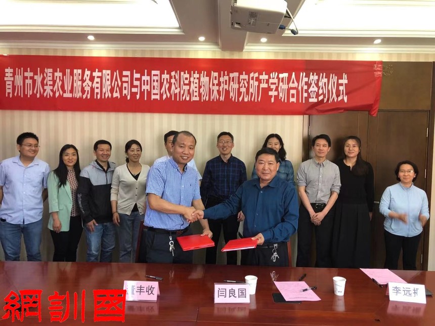 1621822230974537.jpg 喜看“高柳之路”诠释山东乡村振兴新路径.jpg