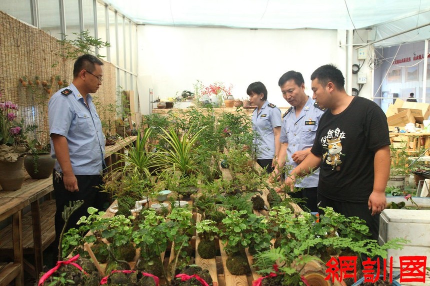 青州花卉基地品牌价值蝉联全省第一3_副本.jpg