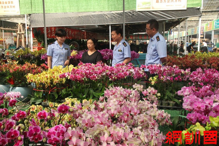 青州花卉基地品牌价值蝉联全省第一2_副本.jpg