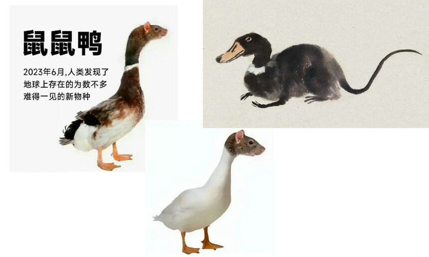 1687060757129847.jpg 55南昌市市场监督管理局(知识产权局)_副本.jpg