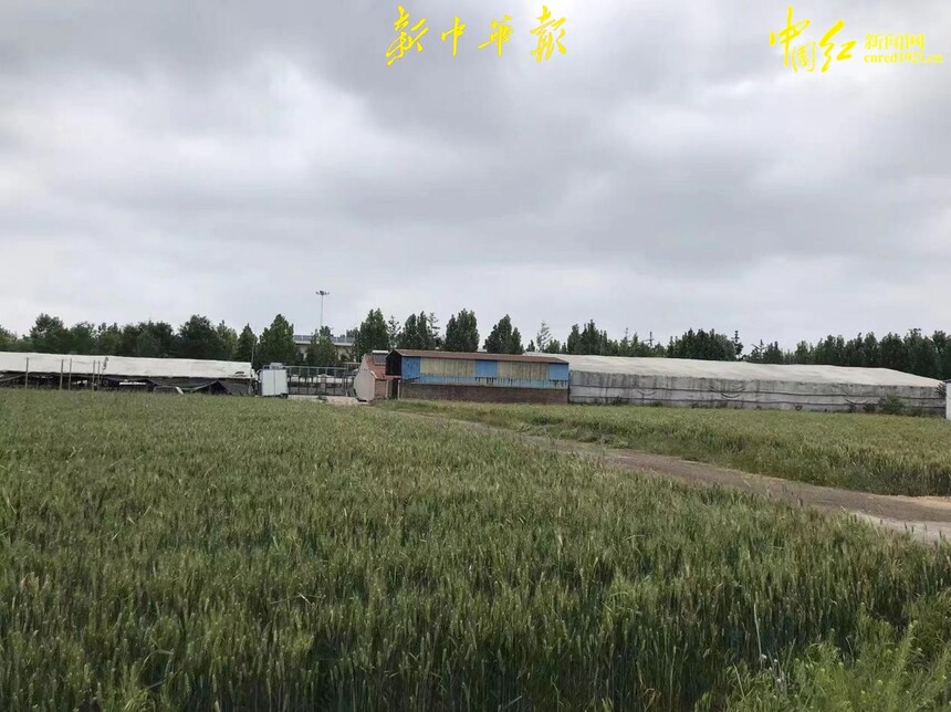 ͼƬ1.jpg